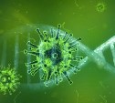 На Сахалине подтвердили 12-й случай заражения новым коронавирусом