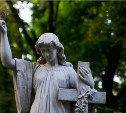 Сахалинцам предлагают убрать заброшенные могилы на старом кладбище