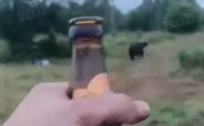 Общество