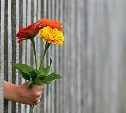 Гороскоп на 19 октября: Деву ждёт приятный сюрприз, а Весов лучше не провоцировать