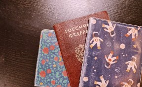 Общество
