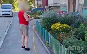 Общество