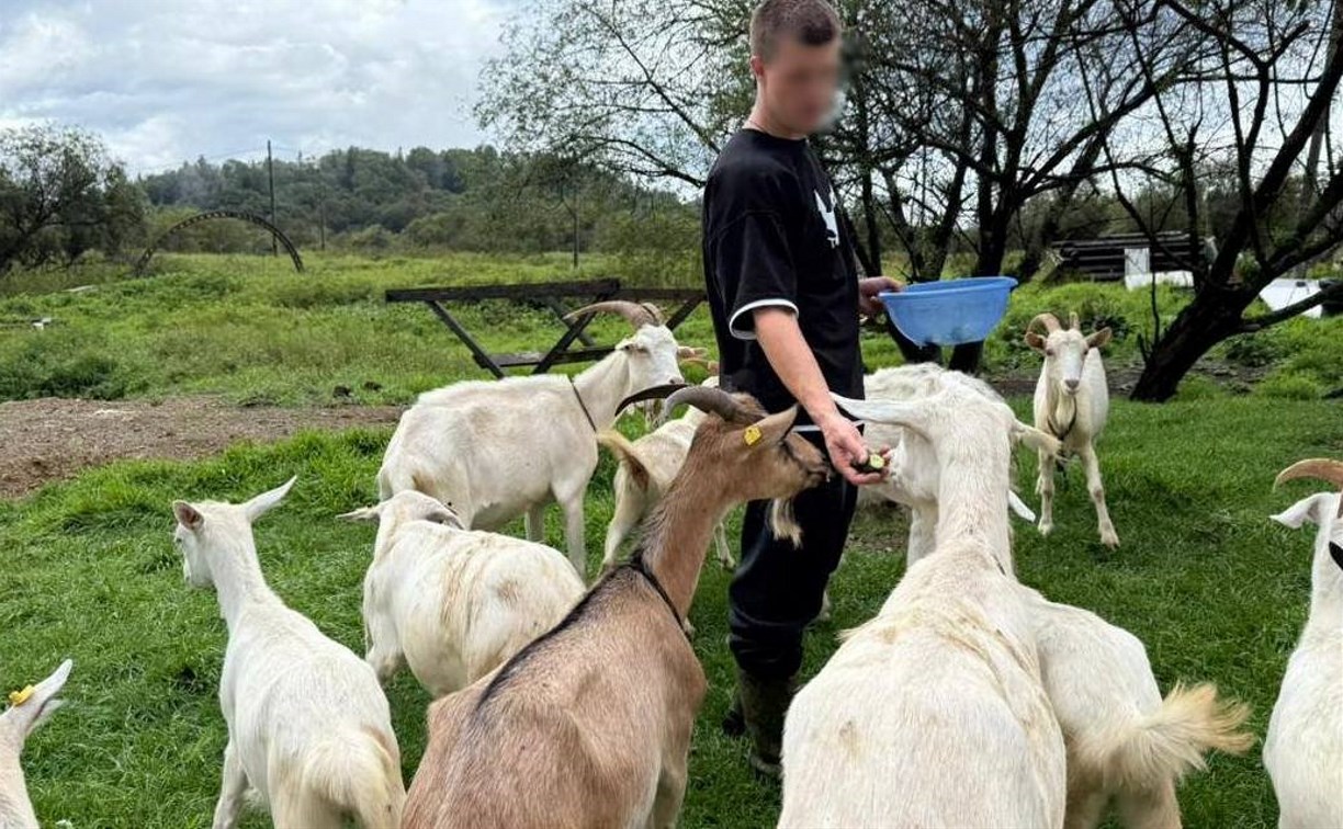Центр помощи зависимым от алкоголя и наркотиков на Сахалине сам попросил о помощи 