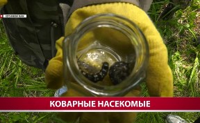 Общество