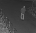 Серийного похитителя автозапчастей ищут в Южно-Сахалинске