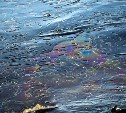 Площадь загрязнения моря нефтепродуктами в Невельском районе - 2,4 квадратных километра
