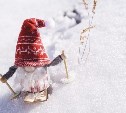 Сахалинские лыжники откроют новый сезон 13 декабря