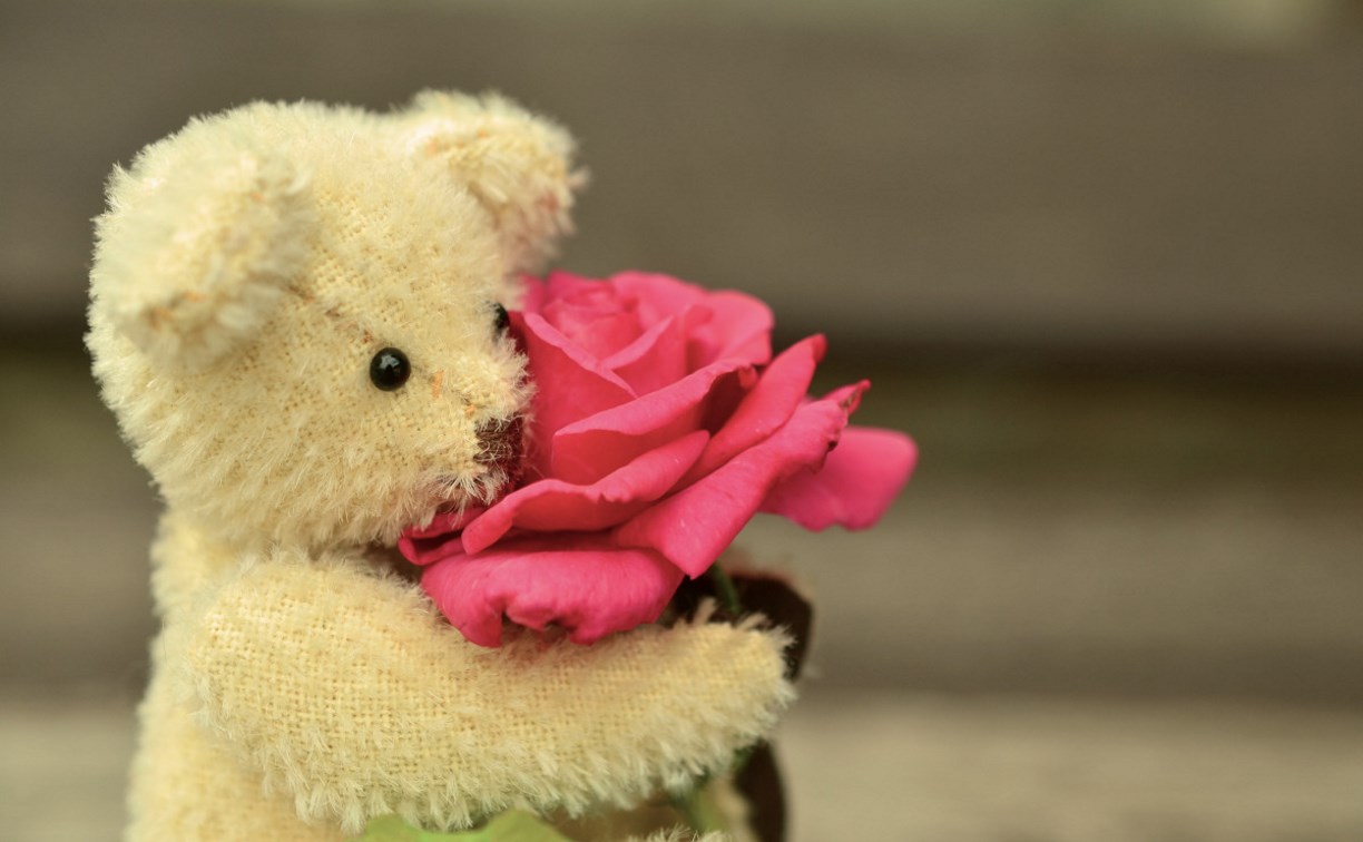 Дарить подарки на День святого Валентина в этом году собирается каждый пятый россиянин