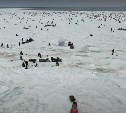 "Рыбы не было": огромное количество сахалинцев собралось на мысе Свободном в будний день
