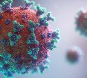В Сахалинской области за сутки 97 человек заболели коронавирусом 
