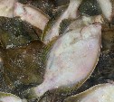 Южносахалинцев приглашают купить свежую рыбу по приятной цене
