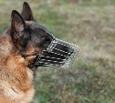 Сахалинцев будут штрафовать за выгул собак без поводка и намордника