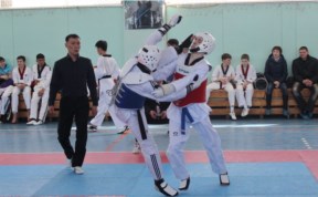 Спорт