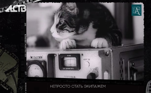 В экипаже 43 рыбака и кот: архивные кадры с промыслового судна в Сахалинской области