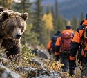 Поисковики начали останавливать поиски людей из-за медведей