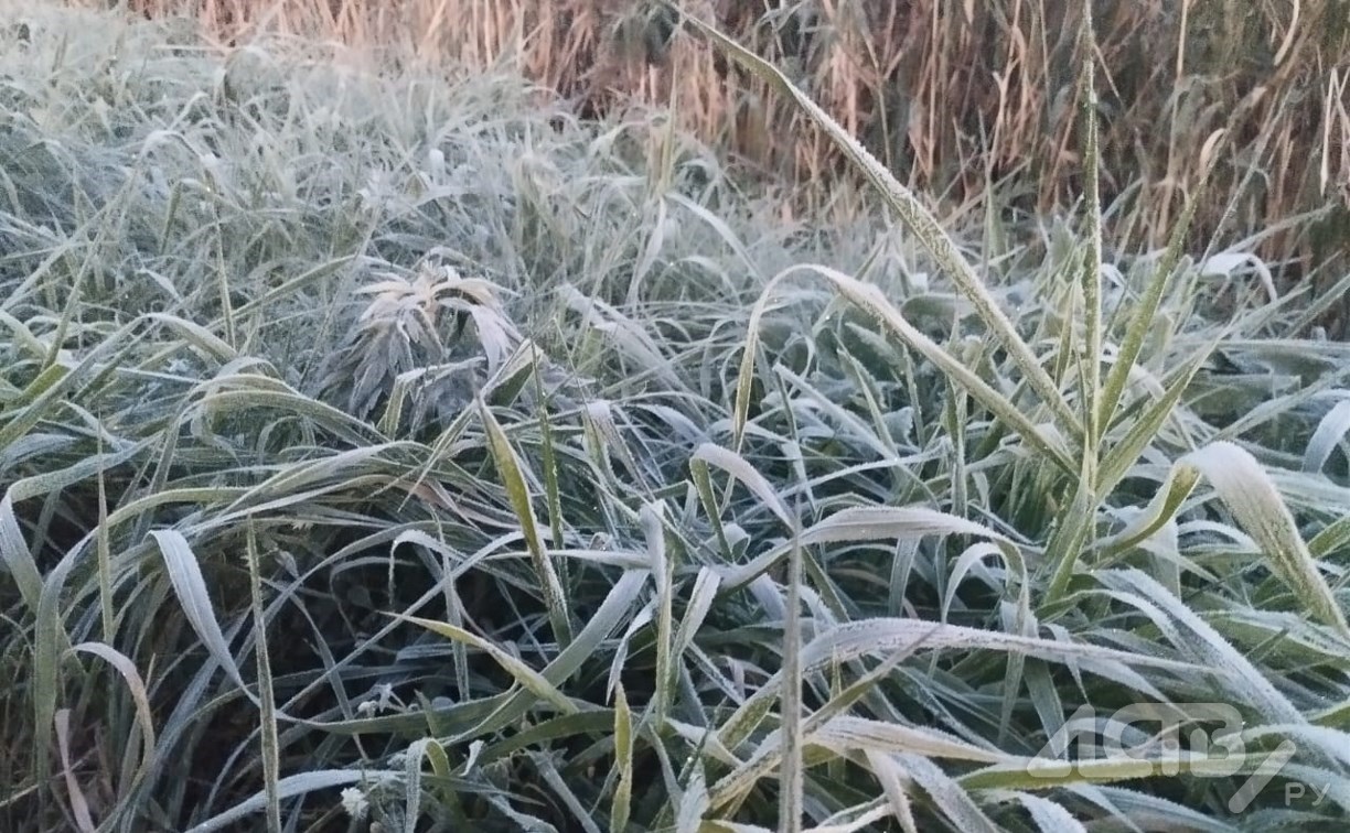 Потеплеет до +10°: уточненный прогноз погоды на 5 ноября 