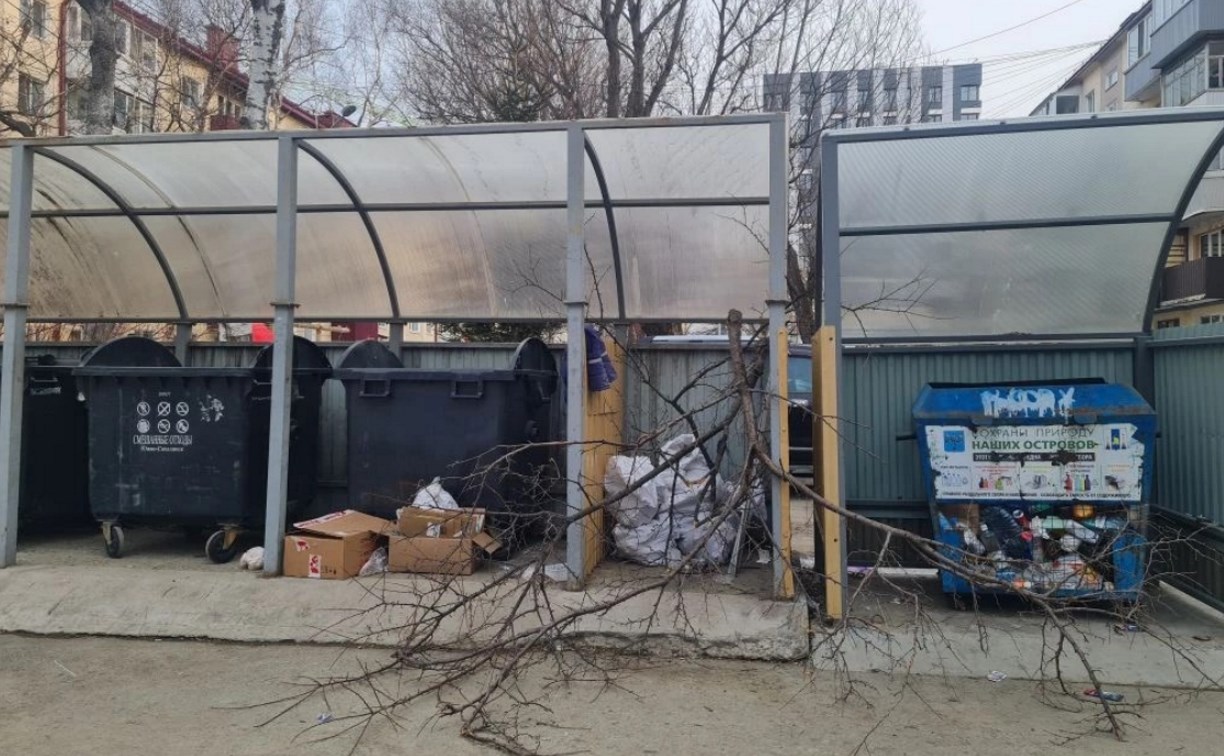 Жителям Сахалинской области напоминают о правильной утилизации веток и ботвы