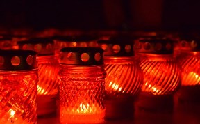 Общество