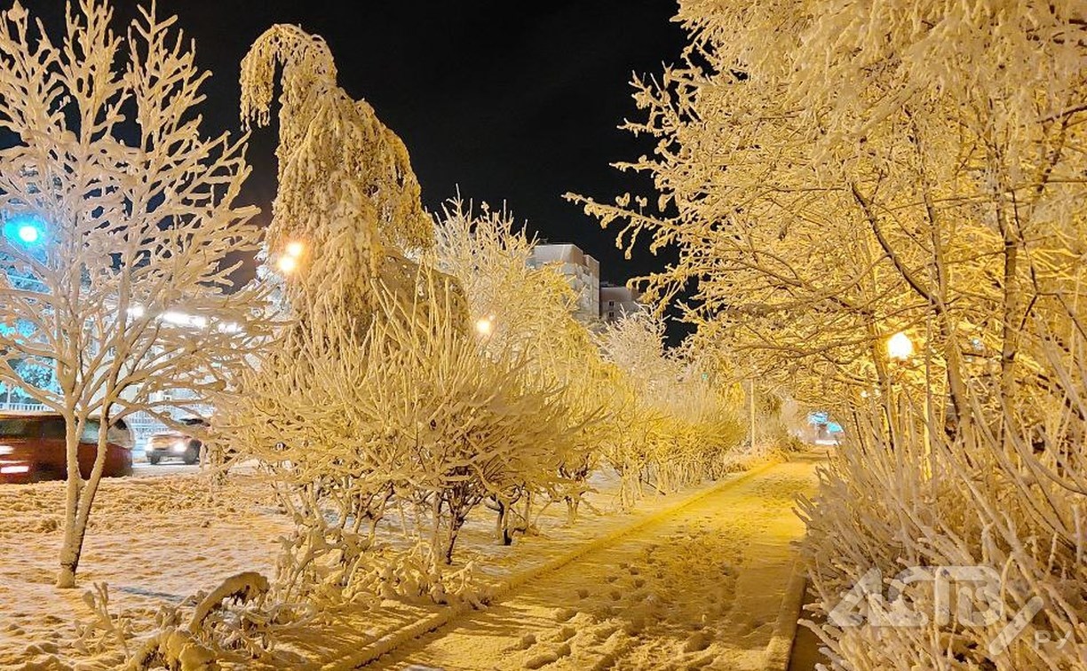 Зимняя сказка в Южно-Сахалинске: фотолента