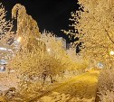 Зимняя сказка в Южно-Сахалинске: фотолента