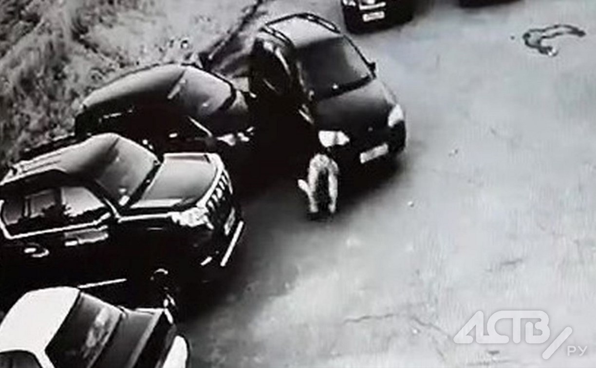"Дурковала за рулём": сахалинка на автомобиле переехала мужчину и врезалась в дом в Долинске