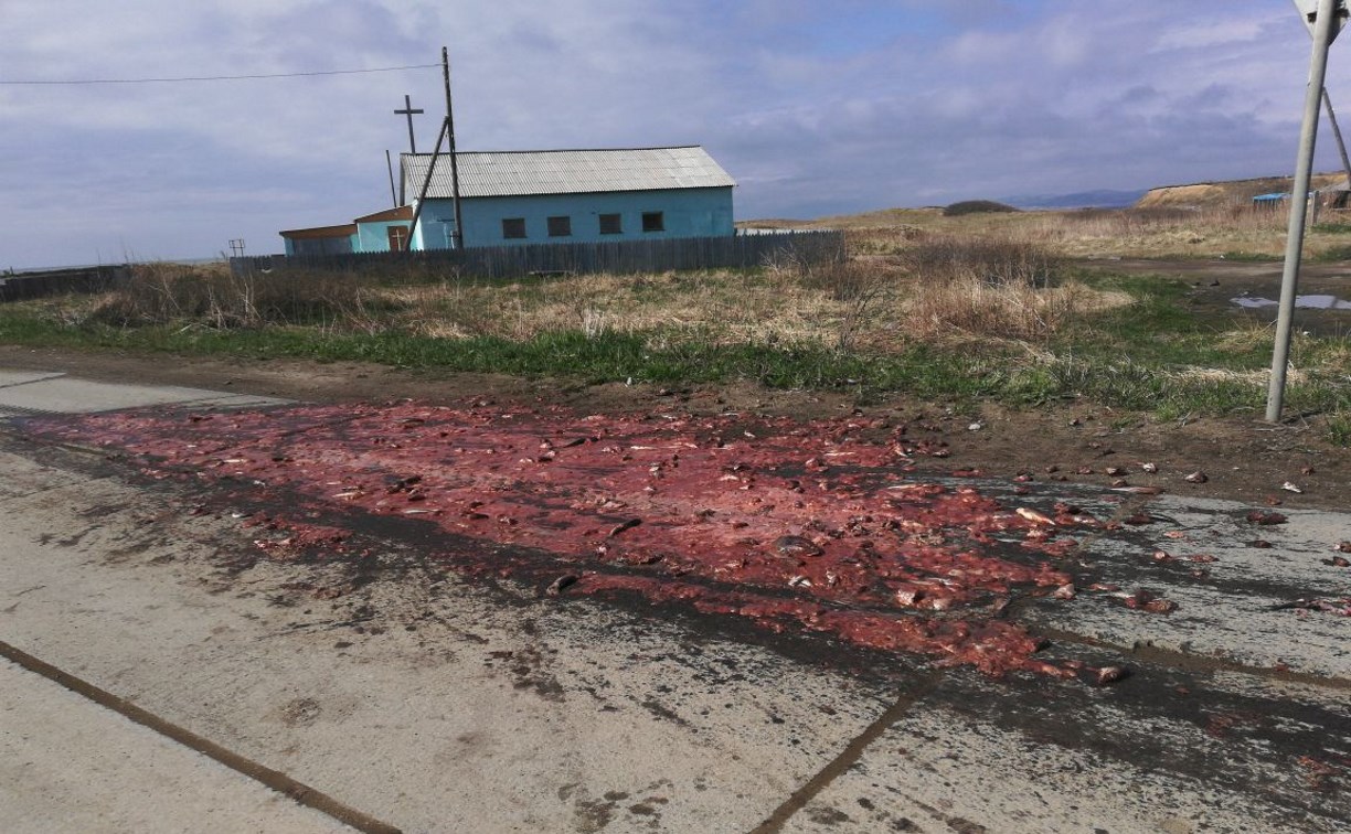 Кровавый след оставил грузовик на дороге в селе Томаринского района