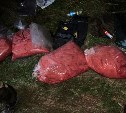Схрон со 150 килограммами красной икры обнаружили сахалинские пограничники