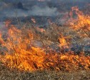 На Сахалине зарегистрированы первые лесные пожары