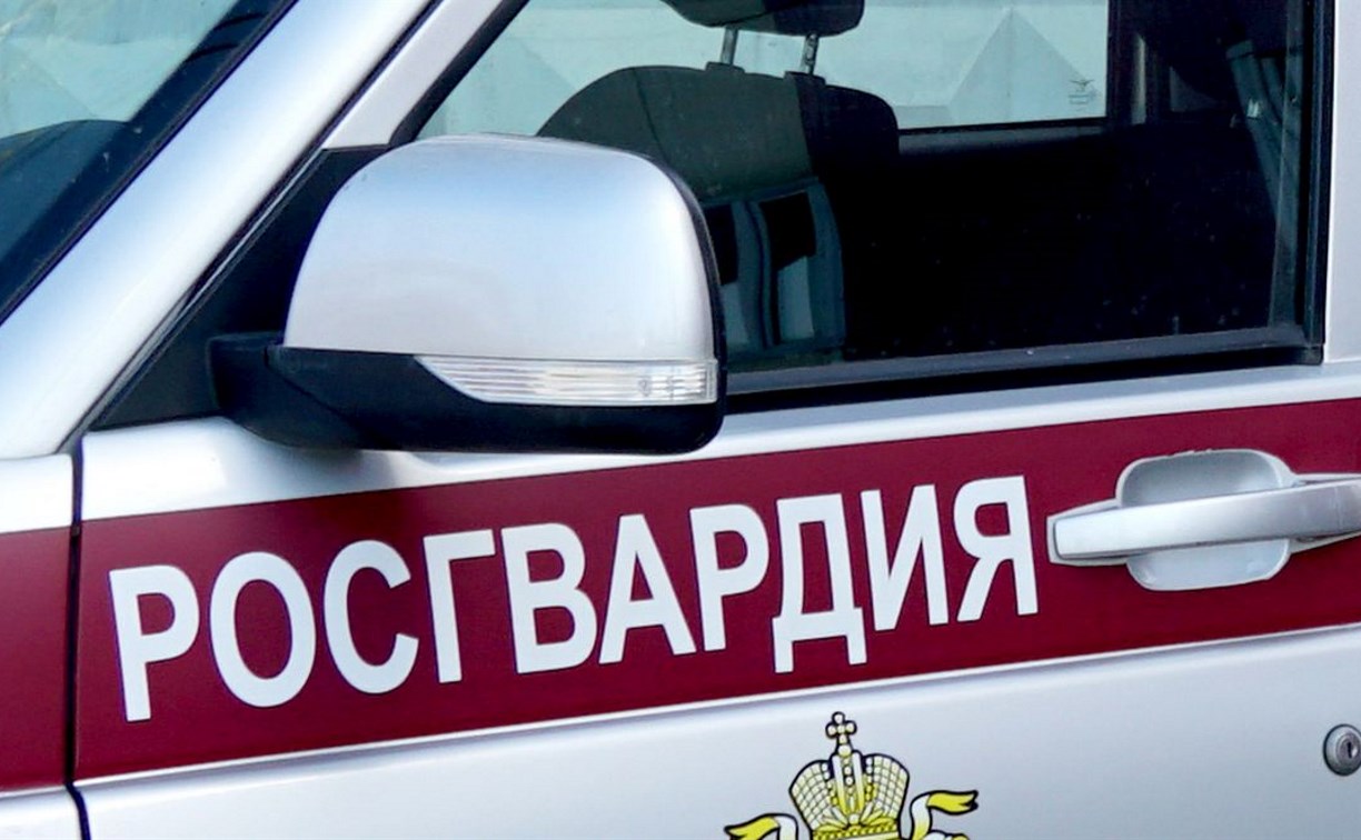 Росгвердейцам пришлось утихомиривать агрессивную охинку, ехавшую с пьяной автоледи