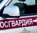 Росгвердейцам пришлось утихомиривать агрессивную охинку, ехавшую с пьяной автоледи