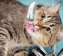 Сотни жителей Южно-Сахалинска останутся без воды 