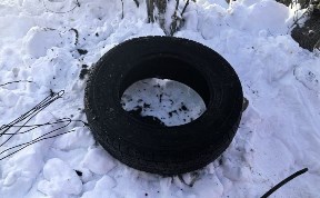 Общество