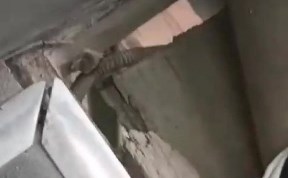 Происшествия
