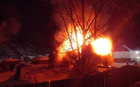 Общество