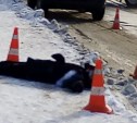 Очевидцы: неизвестный водитель насмерть сбил женщину и скрылся в Поронайске