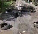 Южносахалинец на "Газели" расковырял залитые бетоном ямы на дороге
