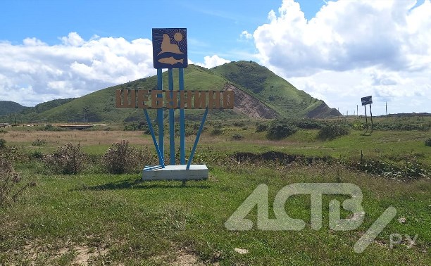 Боимся выходить из дома: медведица с медвежатами ходит по селу на Сахалине
