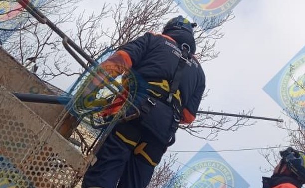 Спасателей в Южно-Сахалинске вызывали снимать гнездо вороны