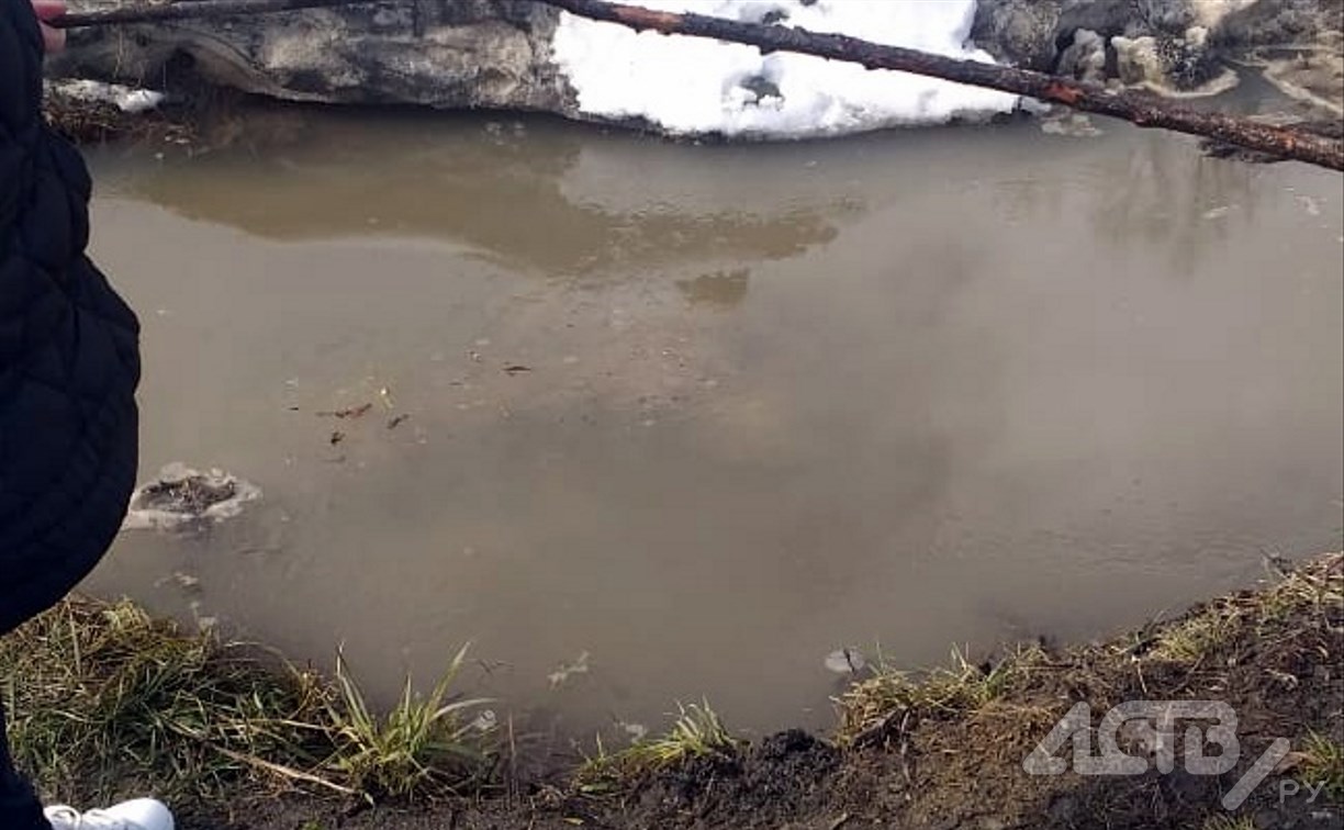 "Торчала только ручка": в придорожной канаве в Быкове едва не утонул 6-летний ребёнок