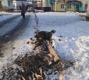 Аллею Памяти в Шахтёрске изуродовали колёсами большегруза