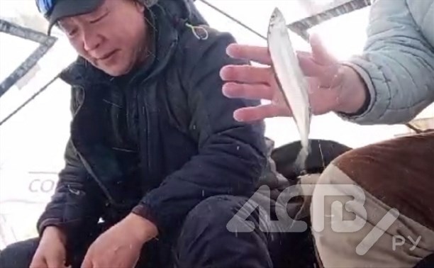 "Клюёт, как из аквариума": сахалинцы сняли репортаж со льда Буссе 