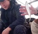 "Клюёт, как из аквариума": сахалинцы сняли репортаж со льда Буссе 