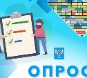 Пешеходный маршрут между Луговым и Ново-Александровском адаптируют к зиме с учетом мнения горожан
