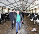 Более 900 сельхозпроизводителей Сахалинской области получили поддержку от областного правительства