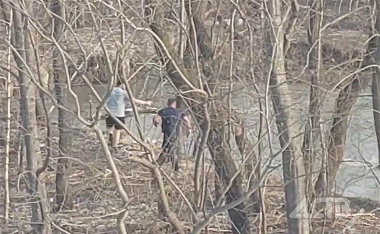 "Я не умру?": двое мужчин спасли девочку, которую уносило течением реки в Южно-Сахалинске