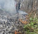 Опубликованы кадры выжженного поля на Сахалине