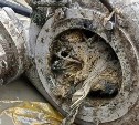 После аварии на сетях канализационные колодцы в Южно-Сахалинске в "Уюн-Парке" снова забиты мусором