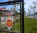 Кленовую Аллею преданности Отечеству открыли в Южно-Сахалинске 