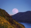 Колдовскую малиновую луну наблюдали на Сахалине