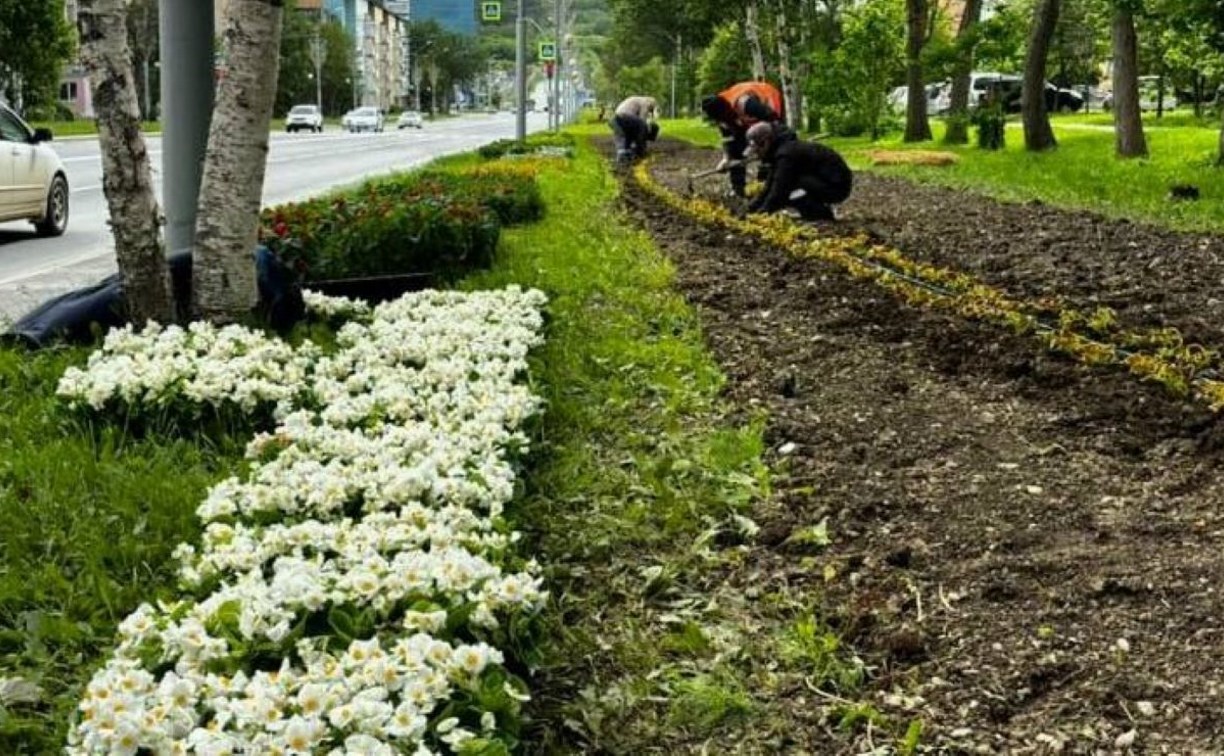 Южно-Сахалинск продолжают украшать цветами